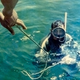 Fidel Castro scuba diving at the Bay of Pigs on a trip with American James Donovan in 1963 (National Security Archive)